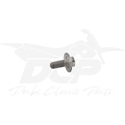 Vis de carénage M6x15mm en titane