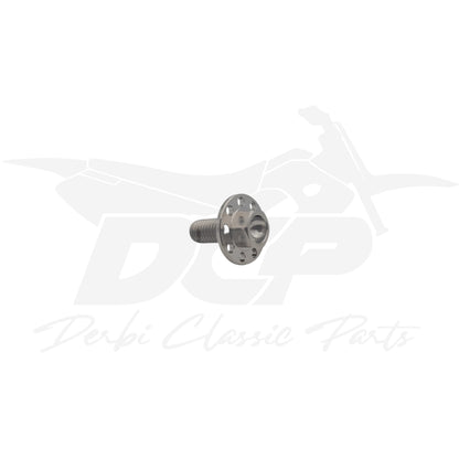 Vis de carénage M6x15mm en titane